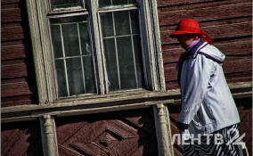 Без осадков и до +14 градусов: о погоде в Ленобласти 17 марта