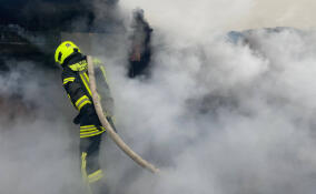 В Вырице при пожаре в частном доме спасены несколько собак