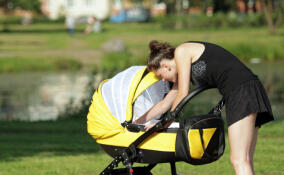 Трём матерям-героиням из Ленобласти назначили новые соцвыплаты