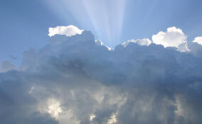 До -6 ночью и до +13 днем: прогноз погоды в Ленобласти на 18 марта