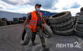 Петербуржцы за зиму сдали на переработку почти 400 тонн опасных отходов