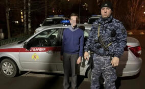 Сбежавшего из дома подростка нашли сотрудники Росгвардии в Петербурге