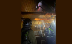 За сутки в Ленобласти потушили 22 пожара и ликвидировали последствия 18 ДТП