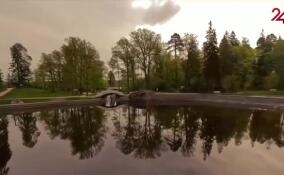 Короткометражный фильм «Монрепо от создателя» назван лучшим на Международном туристическом кинофестивале «Диво Мира 2026»