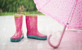 До +12 и небольшой дождь: прогноз погоды в Ленобласти на 19 марта