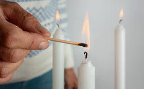 Жителей Гатчинского округа предупредили об отключениях света 19 марта