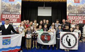 Ленинградские спортсмены завоевали почти 20 медалей на чемпионате и первенстве страны по шахбоксу