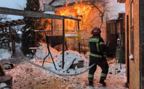 За сутки в Ленобласти при различных происшествиях спасены 12 человек и погибли двое
