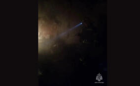 Двух человек эвакуировали из горящего дома в Коммунаре