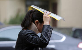 Туман, дожди и до +10 градусов: о погоде в Ленобласти 20 марта