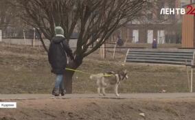 Парк «Оккервиль» не будут закрывать на просушку