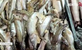 В Петербурге начали продавать корюшку