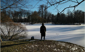 В Петербурге мальчик провалился под лёд в Красносельском районе