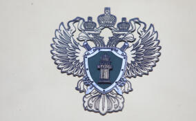 Прокуратура контролирует расследование жестокого убийства подростка в Петербурге