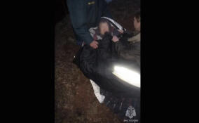 На озере Авдетовское спасли провалившуюся под лед женщину