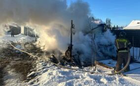 За сутки в Ленобласти сотрудники МЧС спасли восемь человек