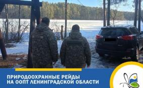 В заказниках Ленобласти продолжаются рейды по выявлению нарушителей на автомобилях