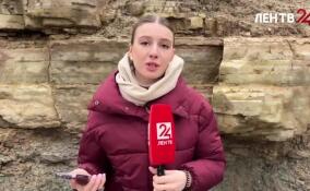 В Саблино открыли геологическое обнажение «Придорожное»