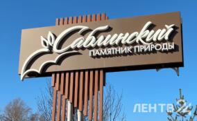 В Саблино представили восстановленное геологическое обнажение «Придорожное»