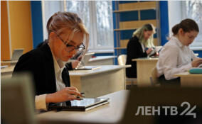 Петербургские выпускники проявляют интерес к точным наукам на ЕГЭ