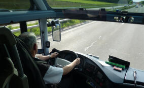 Между Сосновым Бором и станцией метро «Купчино» запустили автобусы