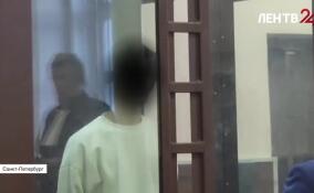 Обвиняемый в убийстве сверстника в Пушкине арестован до 18 мая