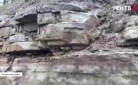 В Саблино открыли обнажение «Придорожное»