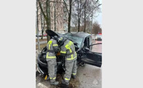 За сутки в Ленобласти 14 человек пострадали в ДТП и двое утонули в водоемах