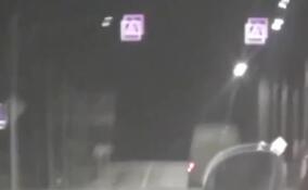 Полицейские с оружием задержали пьяного лихача на иномарке в Ломоносовском районе