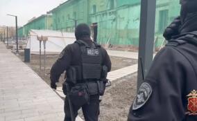 Полицейские проверили более 300 мигрантов в Адмиралтейском районе Петербурга