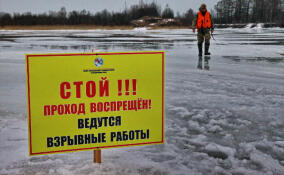 В Ленобласти отменили часть ледовзрывных работ из-за потепления