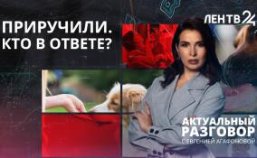 В России предложили ввести должность омбудсмена по защите животных