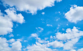 Солнечно и до +13: прогноз погоды в Ленобласти на 24 марта