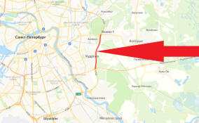 На участке КАД между Колтушским и Мурманским шоссе перекроют полосу