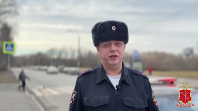 Перебегавший дорогу школьник попал под машину в Красном Селе