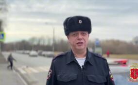 Перебегавший дорогу школьник попал под машину в Красном Селе