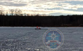 На водоемах Ленобласти за неделю погибли восемь человек
