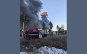 За сутки в Ленобласти потушили 30 пожаров: спасены два человека