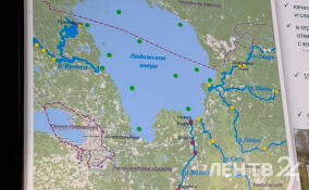 Проект «Чистая Ладога» объединит регионы Северо-Запада