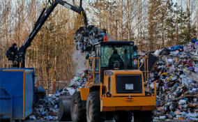 В Ленобласти намерены закрыть старые мусорные полигоны к 2030 году