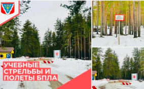 Под Приозерском пройдут учебные стрельбы и полеты беспилотников