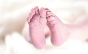 Следователи разбираются в обстоятельствах гибели новорожденного в больнице Приозерска