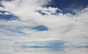 До +14, но дождь и сильный ветер: прогноз погоды в Ленобласти на 25 марта