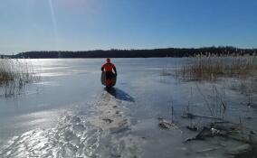 За сутки в Ленобласти в ДТП и на водных объектах погибли три человека