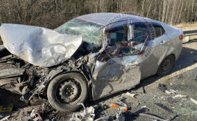 После смертельного ДТП с бензовозом под Тосно заведено уголовное дело