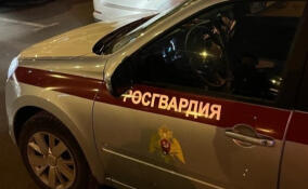 Пьяный мужчина в больнице в Петербурге вскрыл шкафчики с вещами медработников