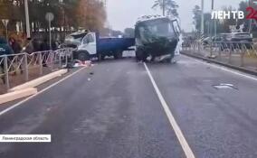 В Ленобласти большинство ДТП с участием общественного транспорта происходит не по вине водителей автобусов