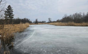 Парк усадьбы Ганнибалов в Суйде передадут Ленобласти