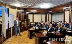 Градостроительный совет обсудил проект развития Новосаратовки