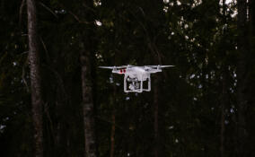 Над Ленобластью уничтожили еще два беспилотника